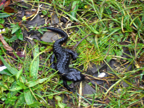 faulhorn 010_bearbeitet