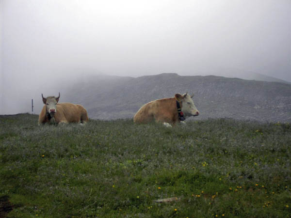 faulhorn 035_bearbeitet