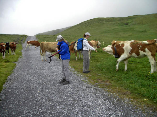 faulhorn 064_bearbeitet