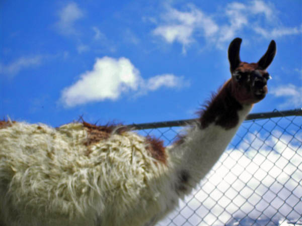 walenpfad 042_bearbeitet