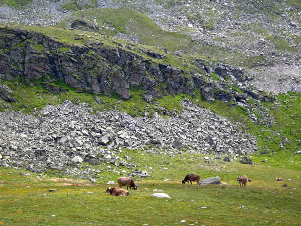 2006_07_29_2tw 025_bearbeitet