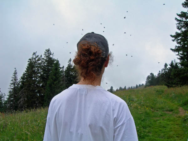 2006_07_09_chasseral 011_bearbeitet