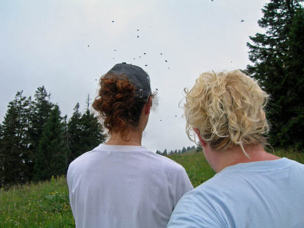 2006_07_09_chasseral 012_bearbeitet