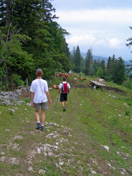 2006_07_09_chasseral 035_bearbeitet