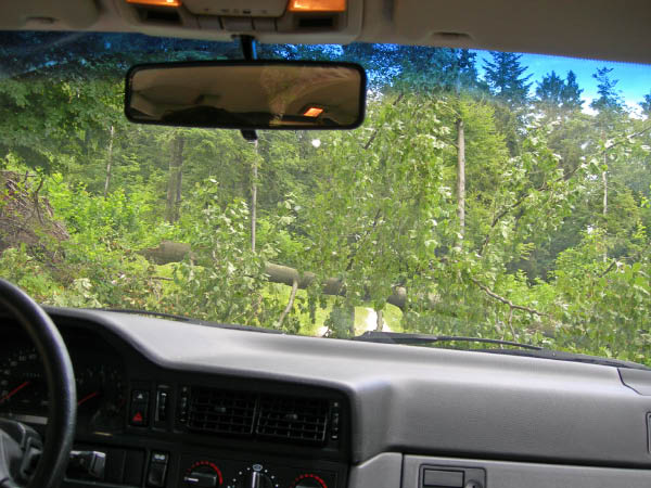 2006_07_09_chasseral 045_bearbeitet