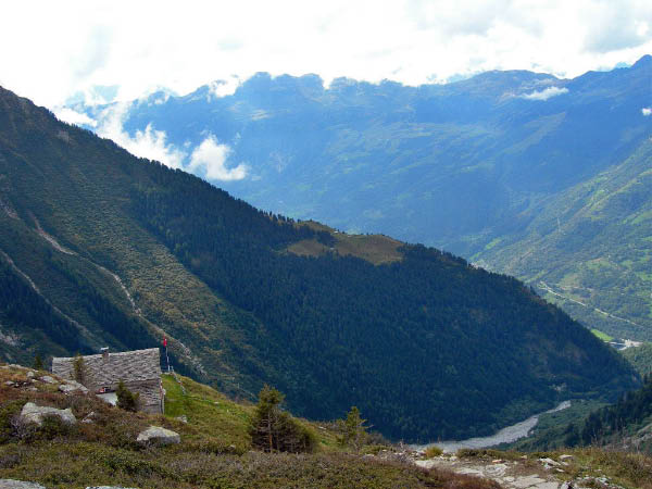 olivone 008_bearbeitet