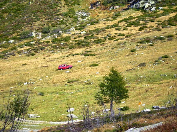 olivone 011_bearbeitet