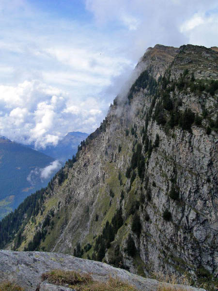 olivone 012_bearbeitet