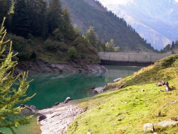 olivone 024_bearbeitet