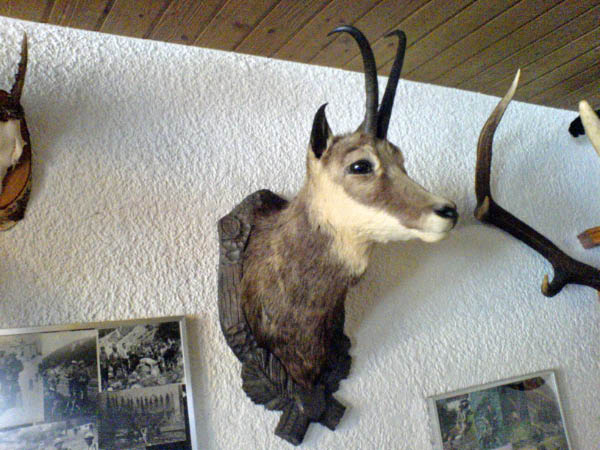 olivone 061_bearbeitet