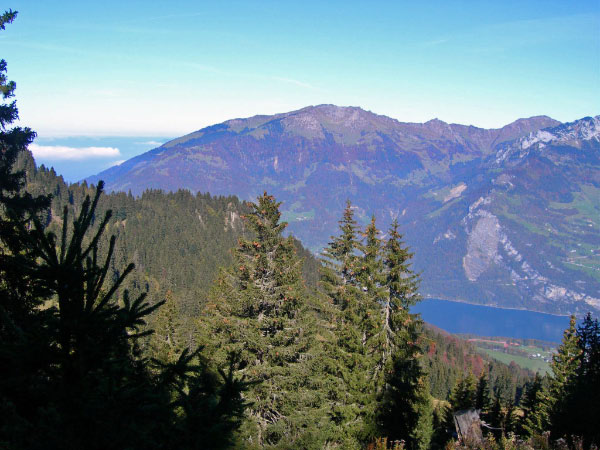 filzbach (17)_bearbeitet