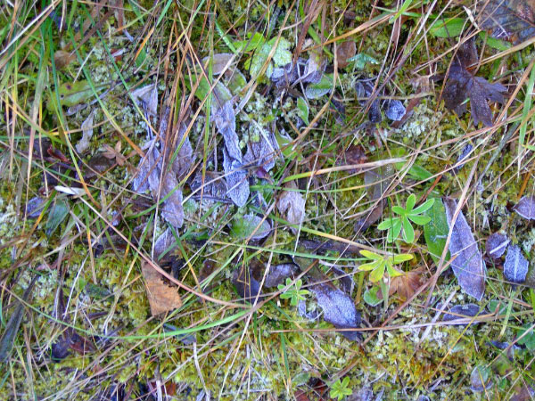 filzbach (22)_bearbeitet