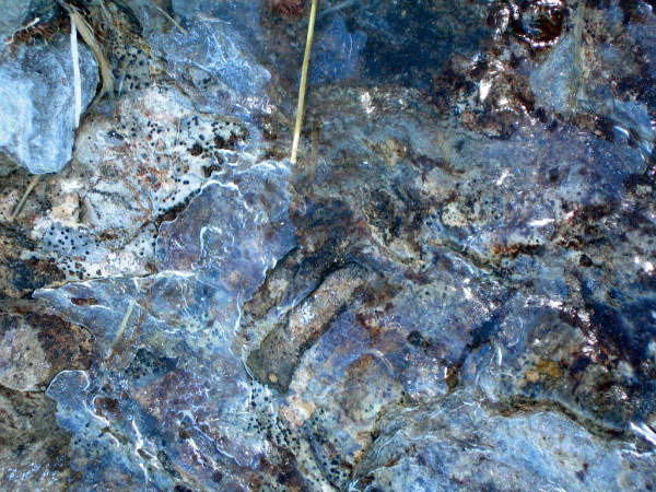 filzbach (23)_bearbeitet