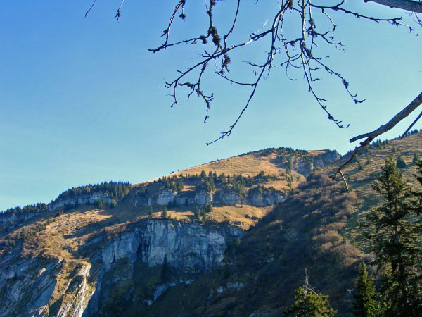 filzbach (45)_bearbeitet