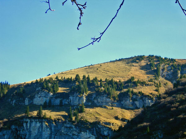 filzbach (46)_bearbeitet