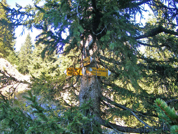 filzbach (47)_bearbeitet