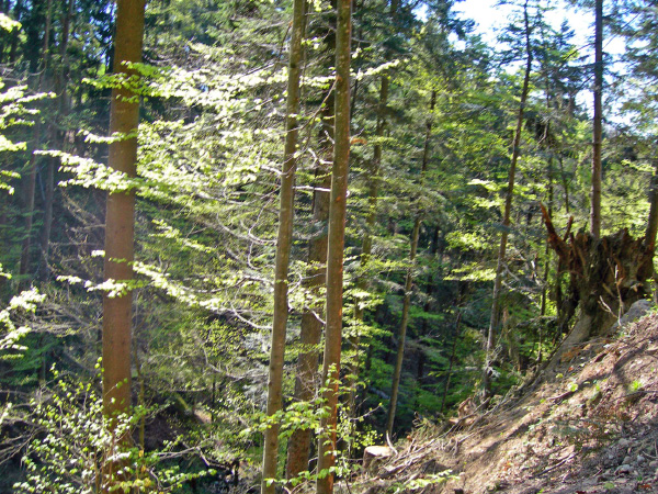 gottschalkenberg (11)_bearbeitet