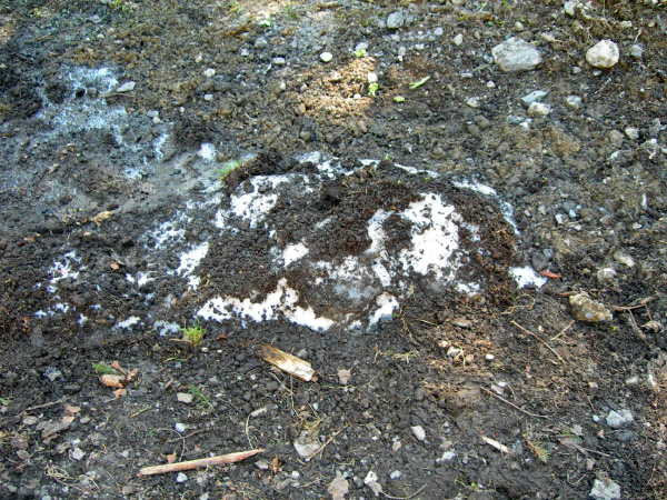 gottschalkenberg (20)_bearbeitet