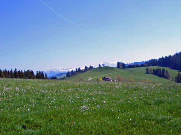 gottschalkenberg (50)_bearbeitet