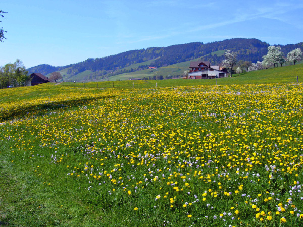 gottschalkenberg (59)_bearbeitet