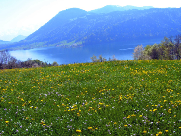 gottschalkenberg (60)_bearbeitet