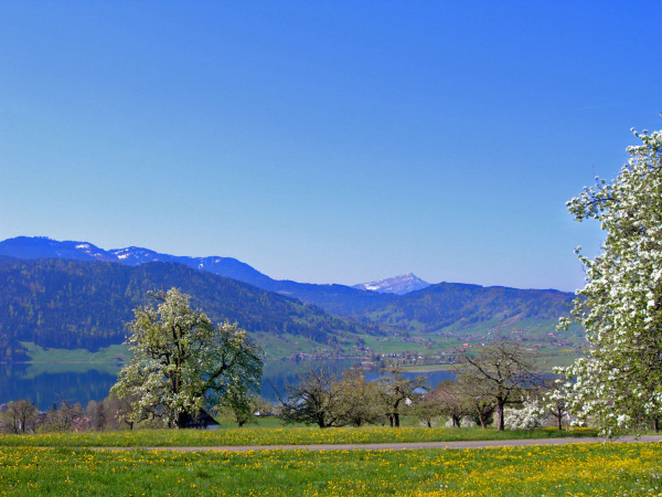 gottschalkenberg (9)_bearbeitet