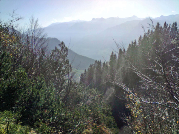 P191008_11.32_bearbeitet