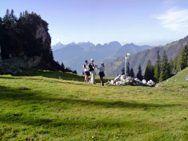 P191008_11.41_bearbeitet