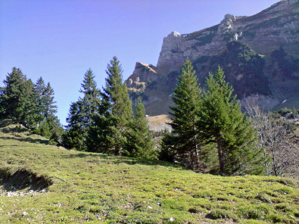 P191008_13.07[02]_bearbeitet