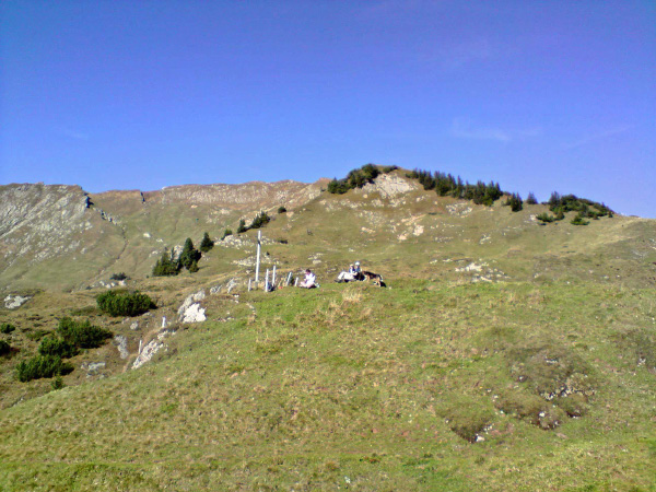 P191008_13.42_bearbeitet