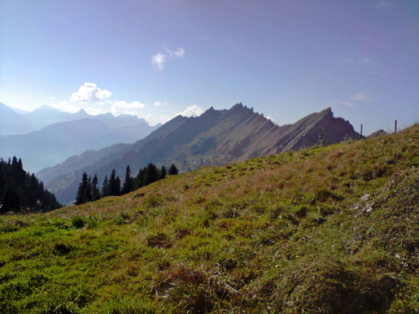 P191008_14.26[01]_bearbeitet