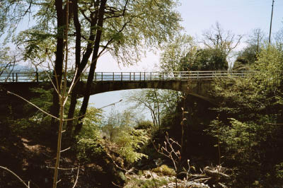 gaemschelibock_archiv_32