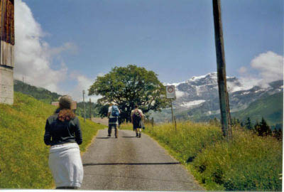 gaemschelibock_archiv_36