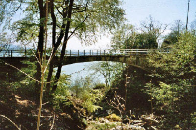 gaemschelibock_archiv_66