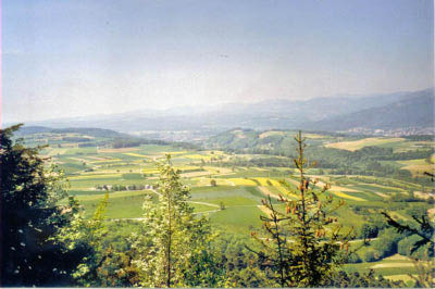 gaemschelibock_archiv_67