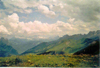 gaemschelibock_archiv_75