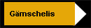 Gmschelis